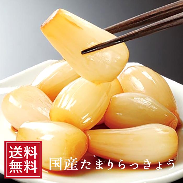 たまり漬 たまりらっきょう漬 国産 120g 漬物 たまり漬け ラッキョウ たまり漬け お取り寄せ お試し 食品 つまみ お歳暮