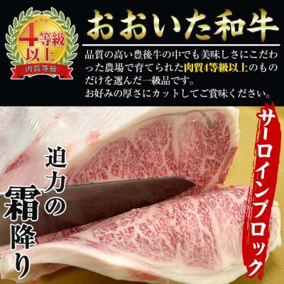 ふるさと納税 佐伯市 おおいた 和牛 サーロイン ブロック 百年の恵み (1kg)