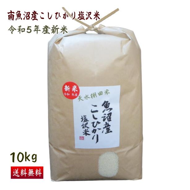 送料無料 （令和5年新米） 南魚沼産 コシヒカリ 塩沢米 10kg 精米 産地直送 こしひかり 白米