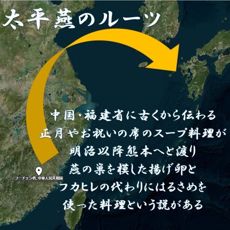 野菜春雨チャンポン風　1袋5食入りを2袋　春雨　はるさめ　太平燕　タイピーエン　熊本　とんこつ