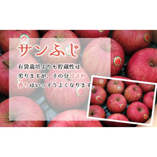 ふるさと納税 青森県 弘前市 訳あり 家庭用 ちとせ村サンふじ 約5kg