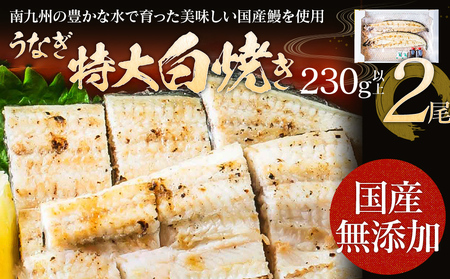 うなぎの特大白焼き（2尾）230g以上×2尾　AE05