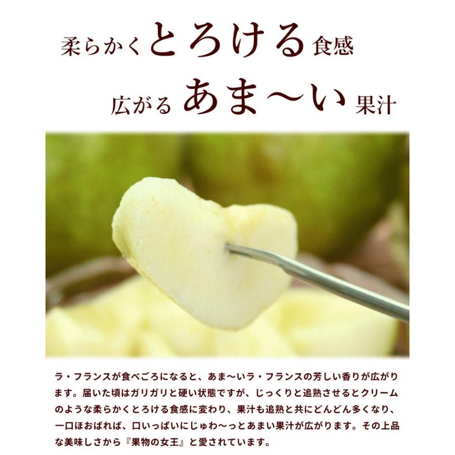 訳あり なし 洋梨 ラフランス 山形県産 訳ありラ・フランス 10kg 12月中旬頃から発送 送料込