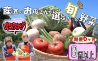  くろいわ産直のお母さんおすすめ！ 旬の野菜セットB　　※11 30から寄附金額引き上げとなります。