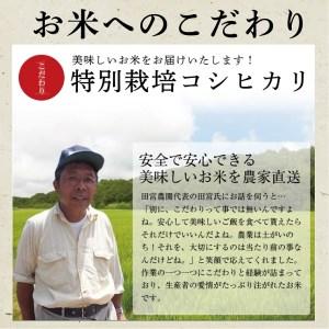 ふるさと納税 L-8 令和5年産田宮さんちのコシヒカリ 5kg×6回 茨城県行方市