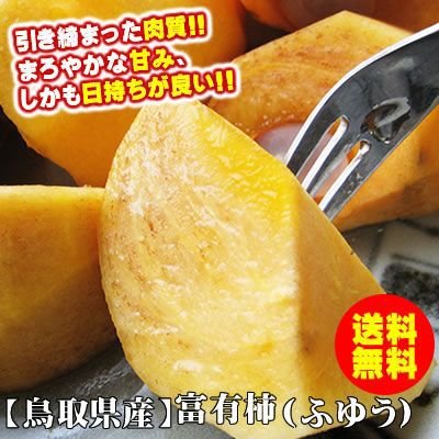 柿 かき  富有柿 ふゆうかき 進物用 ５kgセット 18-24玉入り 送料無料 鳥取県産