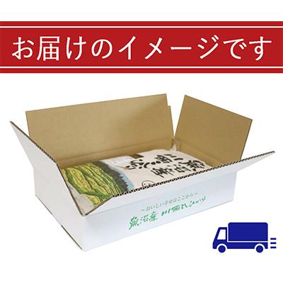 ふるさと納税 十日町市 新潟県認証米 魚沼産川西こしひかり5kg 全12回