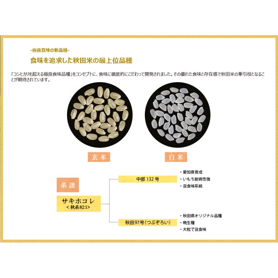 新米 10kg(5kgx2) 秋田県産 サキホコレ 米 令和5年産 白米 内のし対応 贈り物