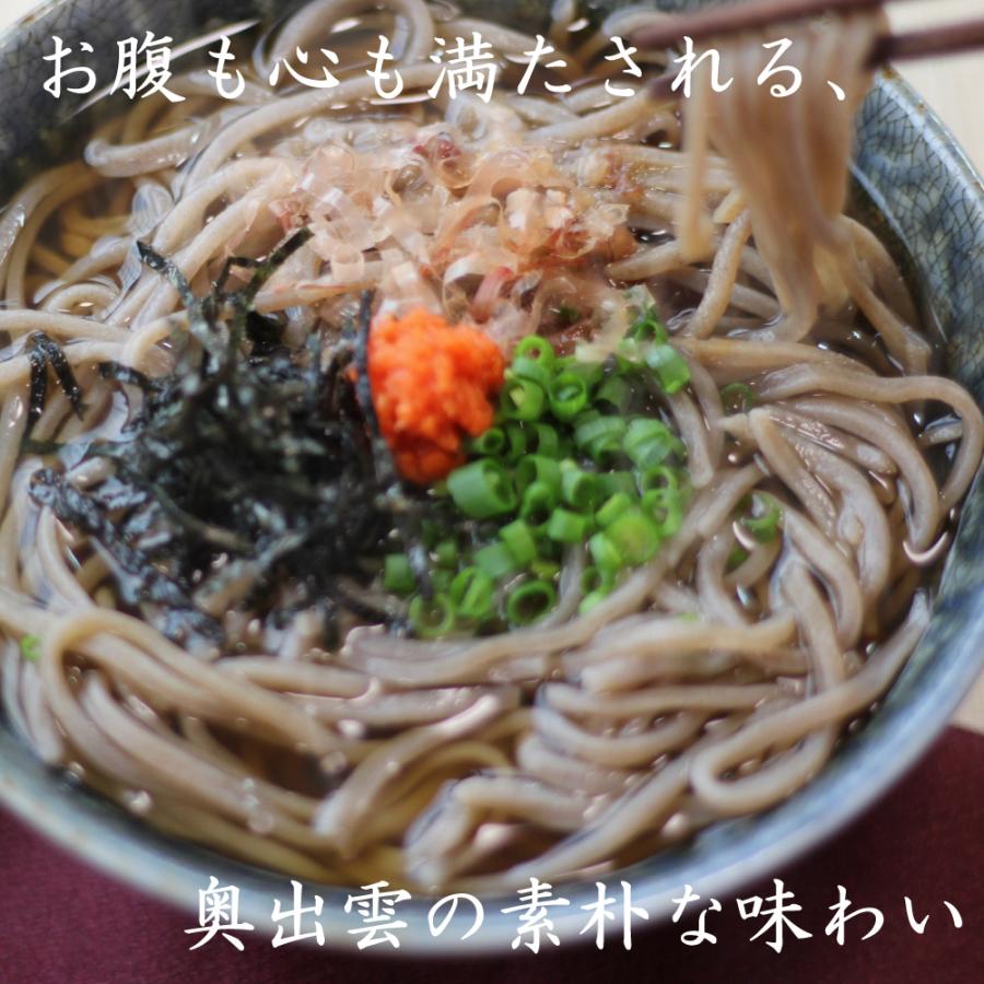 出雲そば 蕎麦 そば お徳用 送料無料 40人前 出雲袋そば 20袋 つゆ付 お取り寄せ グルメ 家庭用