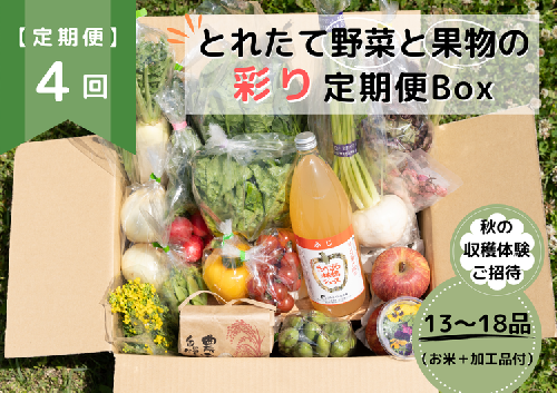 ★個数限定★とれたて野菜と果物の彩り定期便Box 13品目から18品目の豪華セット（収穫体験付き）