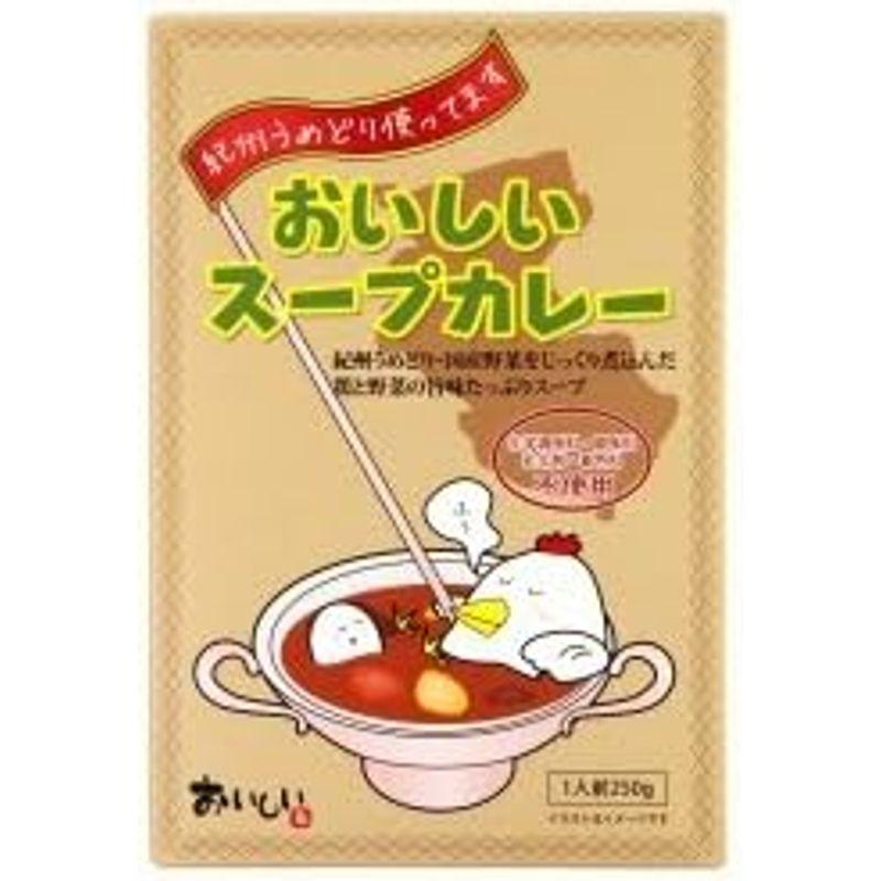 創健社 おいしいスープカレー 250g×24個