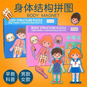 身體結構拼圖0.42人體認知拼圖男孩女孩兒童安全教育木制益智玩具