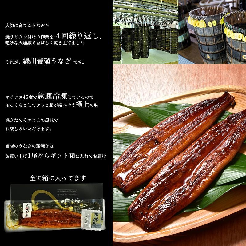 うなぎ 蒲焼き＆白焼き 紅白セット 送料無料 国産うなぎ 化粧箱  贈り物 ギフト グルメ プレゼント