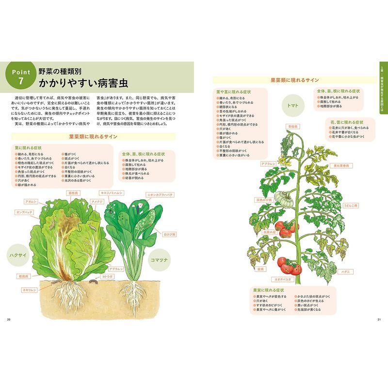 決定版 野菜の病気と害虫対策ＢＯＯＫ