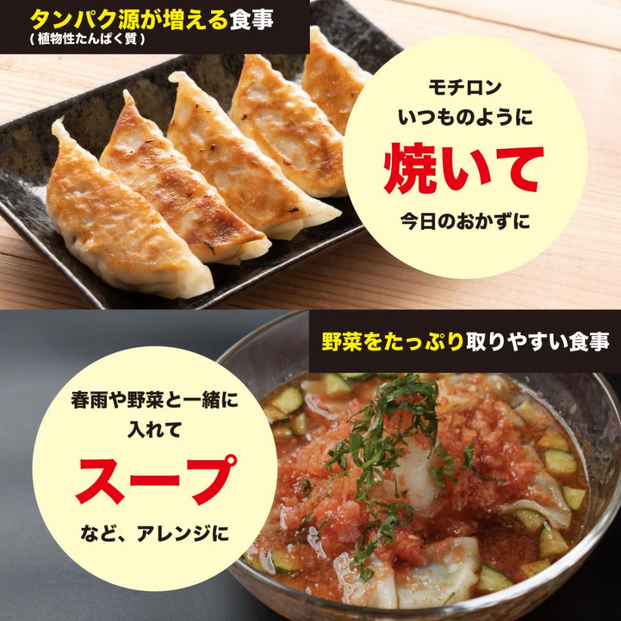  大豆パワー ソイプロギョーザ  送料無料 冷凍便 冷凍餃子 大豆ミート 餃子 ぎょうざ 大豆 ソイミート グルメ 食品 惣菜