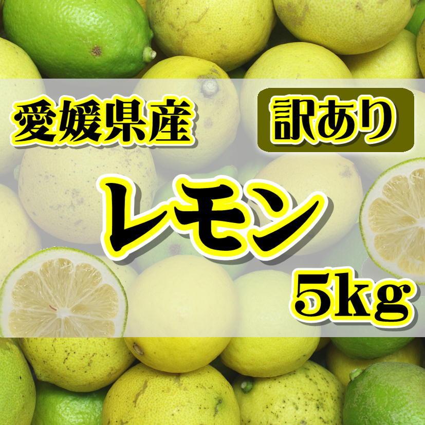 訳あり国産 レモン約5kｇ　愛媛県産 ワックス・防腐剤不使用 れもん　北海道・沖縄送料別途1000円