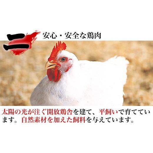 ふるさと納税 佐賀県 唐津市 唐津市産 若鳥もも肉むね肉ささみ合計6kgセット 鶏肉 唐揚げ 親子丼 お弁当「2023年 令和5年」