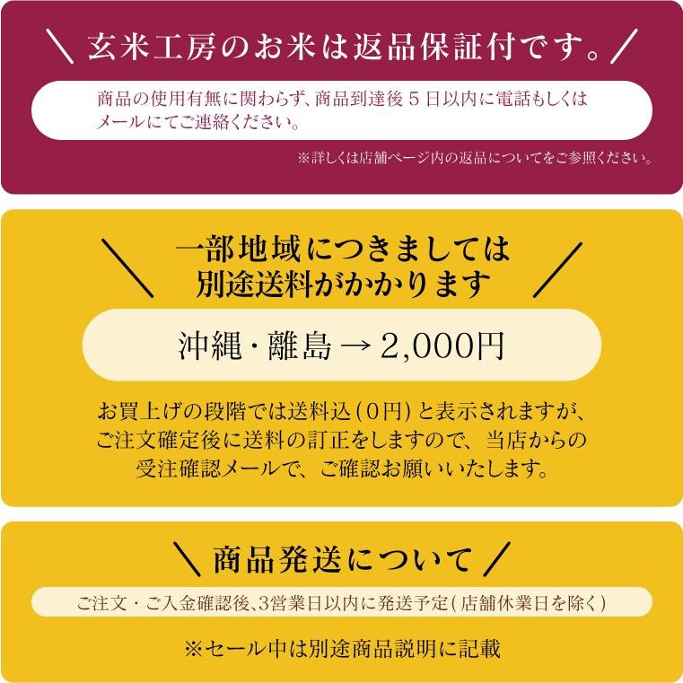 新米入り 米 お米 30kg  農家蔵出し米  玄米 ブレンド米 セール 無洗米 送料無料 大粒 5kg×6