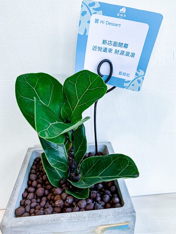 送禮小卡加購區