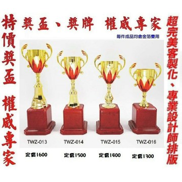獎盃 獎牌 客製化 訂製各式 量多有優惠 TWZ-013 ~ TWZ-016【大自在運動休閒精品店】