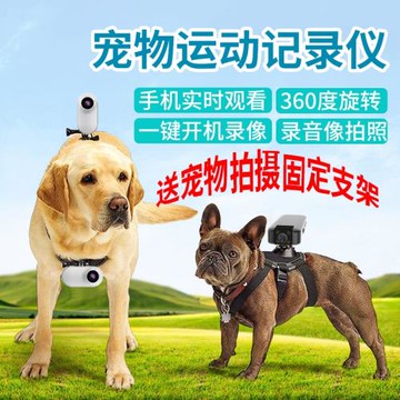 寵物記錄儀運動相機貓咪狗狗拍攝視角錄音錄像vlog視頻掛脖項圈胸前背后攝像頭監控器手機遠程動物拍照攝影頭