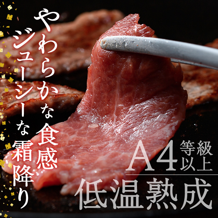 おおいた和牛A4ランク以上！赤身焼肉セット3種