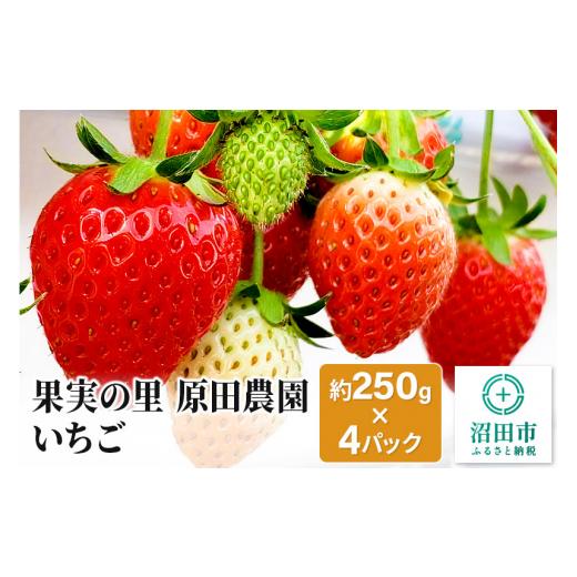 ふるさと納税 群馬県 沼田市 果実の里 原田農園 いちご 約250g×4パック