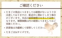 JAむなかたよりお届け！めぐみのたまご60個（55個＋補償5個）[E2278a]