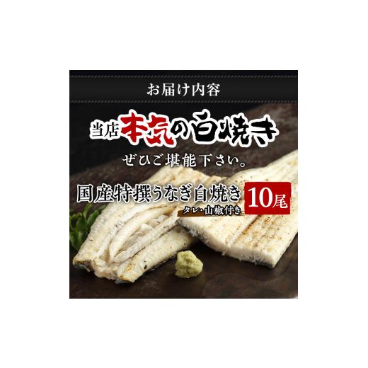 ふるさと納税 静岡県 湖西市 季節の焼きたて特撰うなぎ白焼き10尾