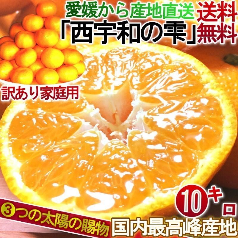 産地直送 西宇和の雫 温州みかん 約10kg ２S〜２Lサイズ混合 愛媛県産 訳あり品 個人農家産 本場で育てた家庭用蜜柑！こだわりのマルチシート栽培