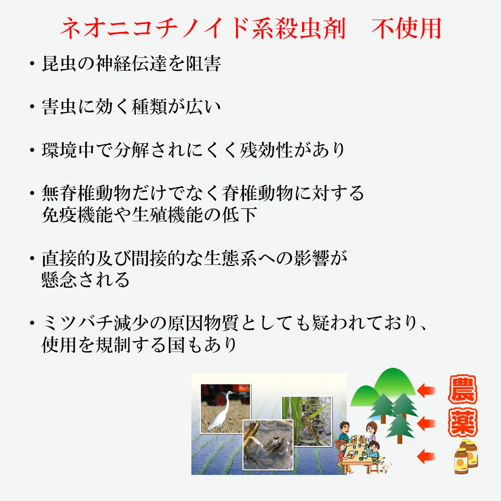 新米 米 5kg 送料無料 コシヒカリ 精米選択可能 農薬8割減・化学肥料不使用 山形県産 こしひかり玄米 減農薬玄米 産年：令和5年 生産農家 小林 亮氏