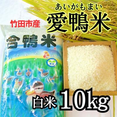 ふるさと納税 竹田市 竹田市産 愛鴨米 白米 10kg