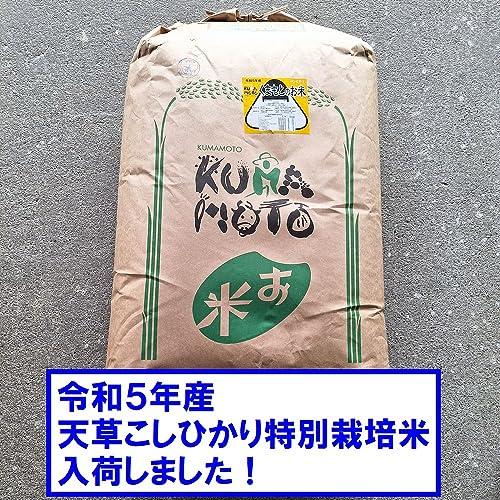 新米 令和5年 熊本県 天草地方産 こしひかり 特別栽培米 玄米 5kg