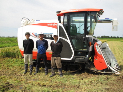 AB4019 特別栽培米  新潟県岩船産 コシヒカリ 玄米 10kg