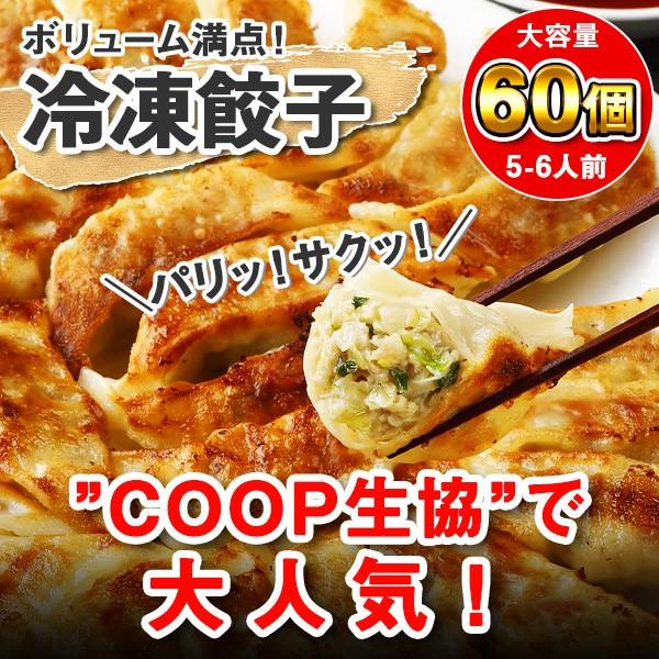 御歳暮 業務用 餃子 冷凍 国産 60個 お取り寄せグルメ ぎょうざ 冷凍餃子 おつまみ ギフト