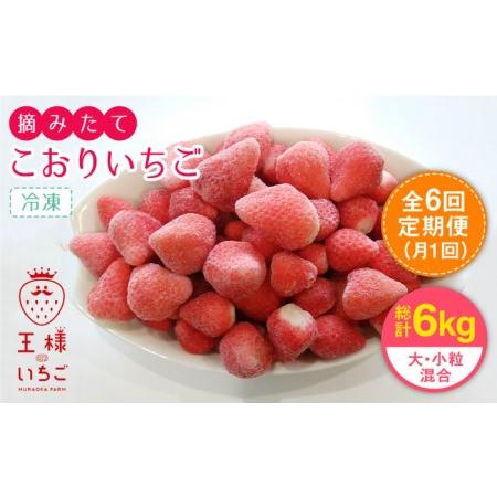 ふるさと納税 王様のいちご 摘みたてこおりいちご 1kg（冷凍いちご）いちごさん さがほのかフルーツ 果物 イチ.. 佐賀県江北町