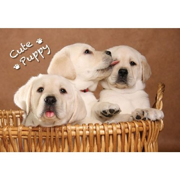 HC - 台灣製300片拼圖 - Cute Puppy 300S-003