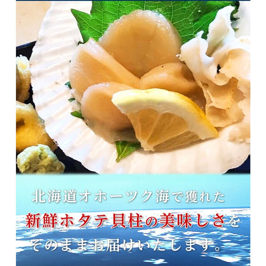 ホタテ そのまま食べれる ホタテ貝柱 北海道産 1キロ ぷりぷり 海鮮 海鮮丼にも 魚介 刺身 貝柱 ホタテ ほたて 海産 たいの鯛