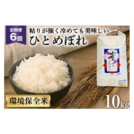 ふるさと納税 宮城県 気仙沼市 お米 6回 定期便 宮城産 ひとめぼれ 環境保全米 10kg×6回 総計60kg [菊武商店 宮城県 気仙沼市 20562733]