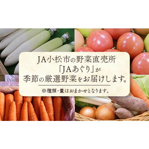 ふるさと納税 石川県 小松市 JA小松市 季節の野菜詰合せ