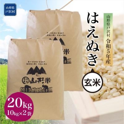 ふるさと納税 戸沢村 令和5年産 はえぬき20kg　山形県 戸沢村 産