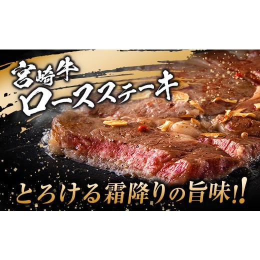 ふるさと納税 宮崎県 日南市 ≪数量限定≫最高ランク5等級宮崎牛ロースステーキ(計500g)　肉　牛　牛肉　国産 D22-191