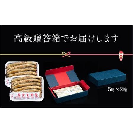 ふるさと納税 朝じめ うなぎ 溶岩焼き 白焼き 10尾（約140g×10尾） 静岡県浜松市