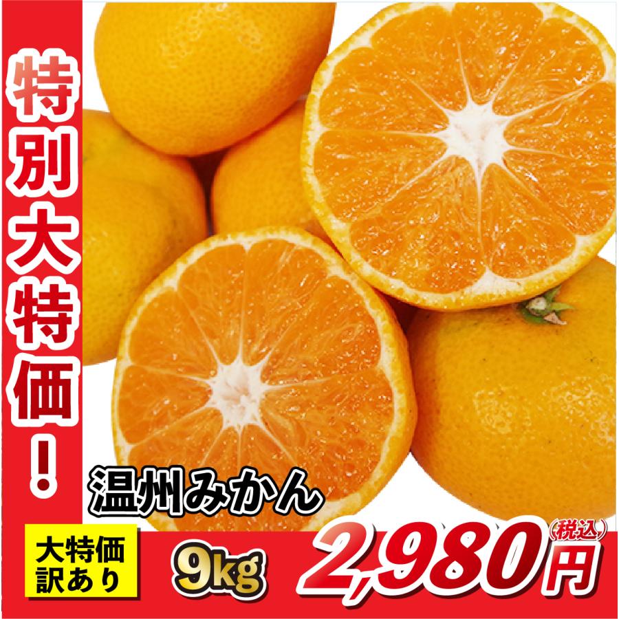 大特価 (訳あり) 温州みかん 9kg 愛媛県産 みかん 産地直送 送料無料 お歳暮 2023 お歳暮2023 初売り 2024 初売り2024 グルメ