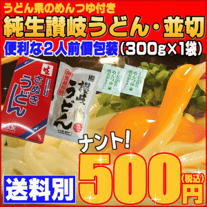 送料別 純生 讃岐うどん 1箱2人前つゆ付セット 生麺 生うどん 香川県産