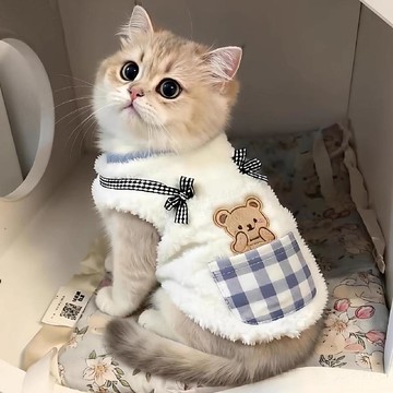 ⚡台灣出貨⚡貓咪衣服 秋冬款 可愛保暖防掉毛寵物衣服 加絨寵物衛衣 寵物衣服 保暖衣 寵物保暖衣服 可愛寵物衣服 小型犬