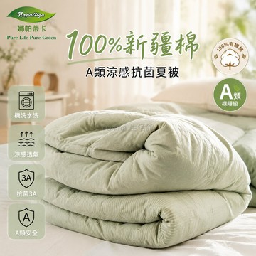 台灣出貨✨ 夏被 新疆棉花 A類母婴級 透氣親膚 可機洗 空調被 夏涼被 被芯