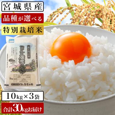 ふるさと納税 石巻市 令和5年産 ヨシ腐葉土米 特別栽培米 精米30kg(10kg×3袋)つや姫