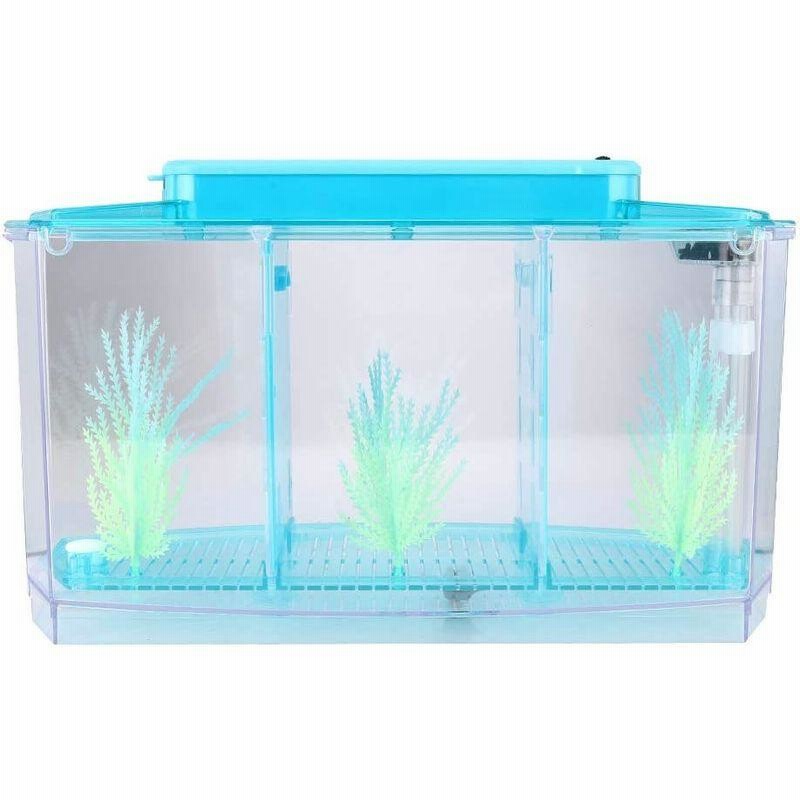 小型水族館 アクアリウムセット 水槽セット ベタ 水槽 おしゃれ 省エネ 隔離プレート 2枚 メダカ 熱帯魚 水換え簡単 蓄光水草付 ミニ 通販 Lineポイント最大0 5 Get Lineショッピング