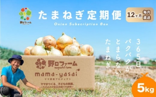 mama-yasai たまねぎ５kg